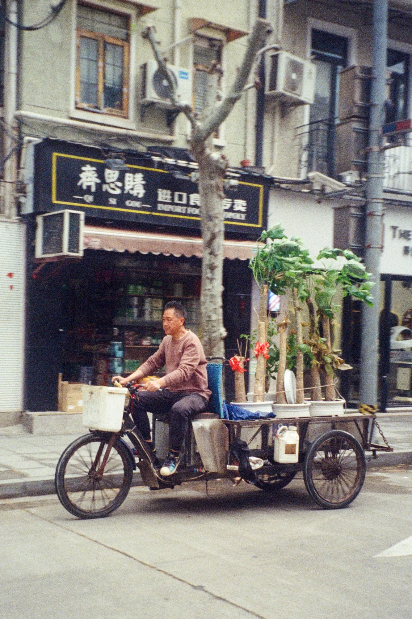 2026, photo 14