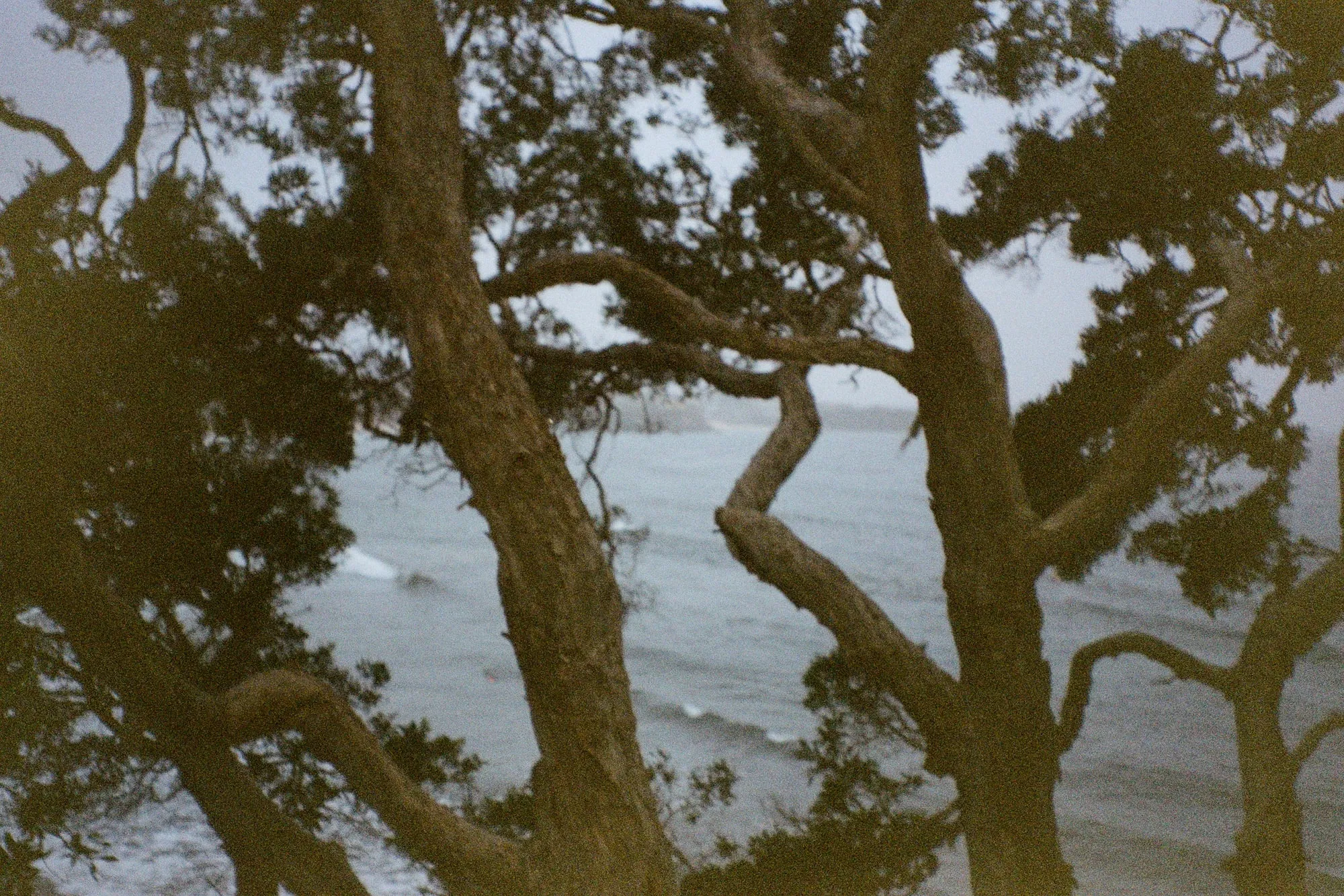 2026, photo 17