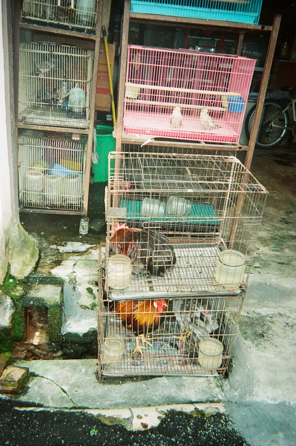 2022, photo 2