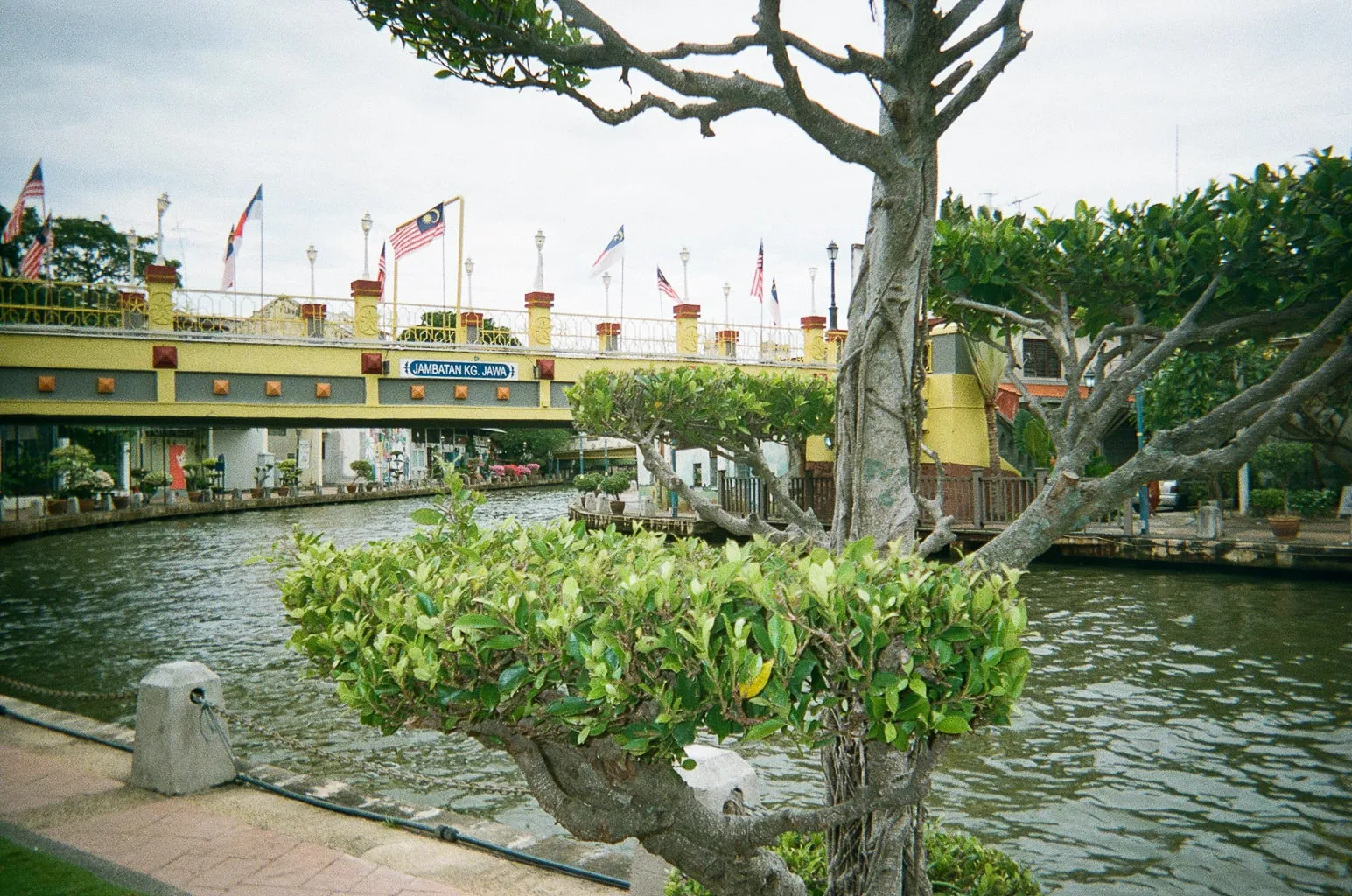 2022, photo 17