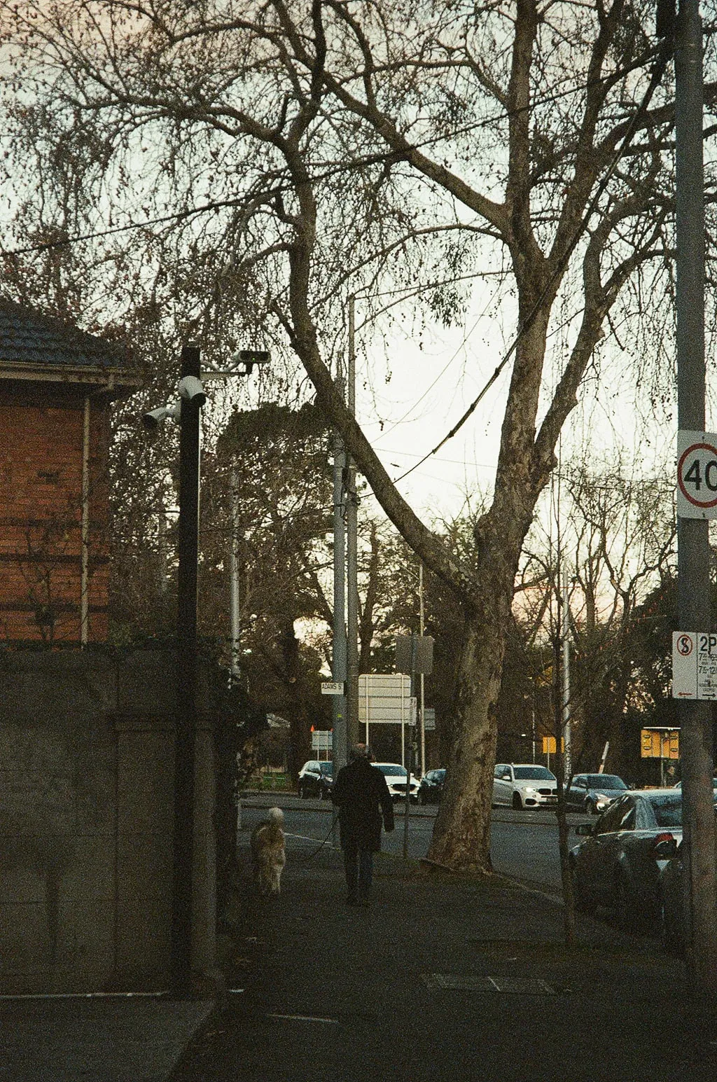 2022, photo 20