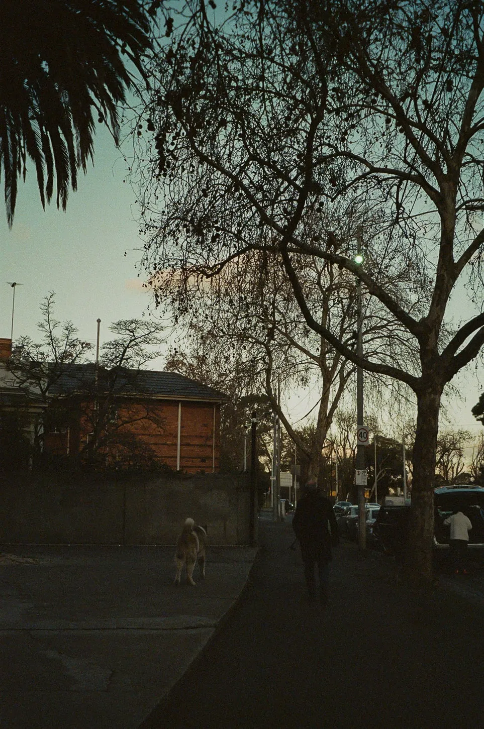 2022, photo 8