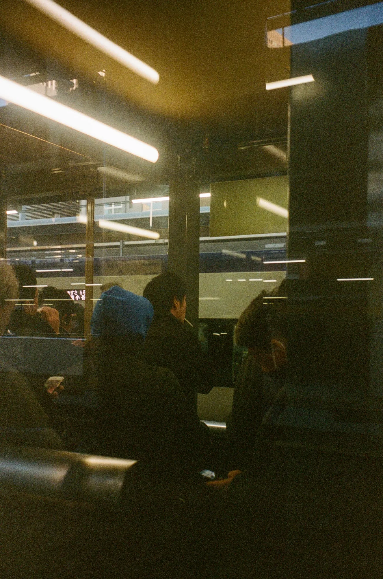 2025, photo 8