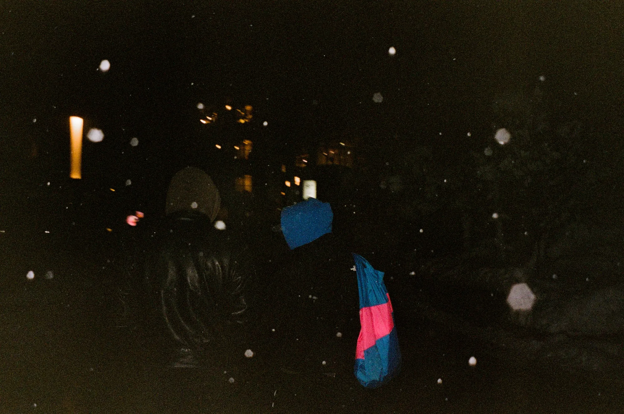 2025, photo 9