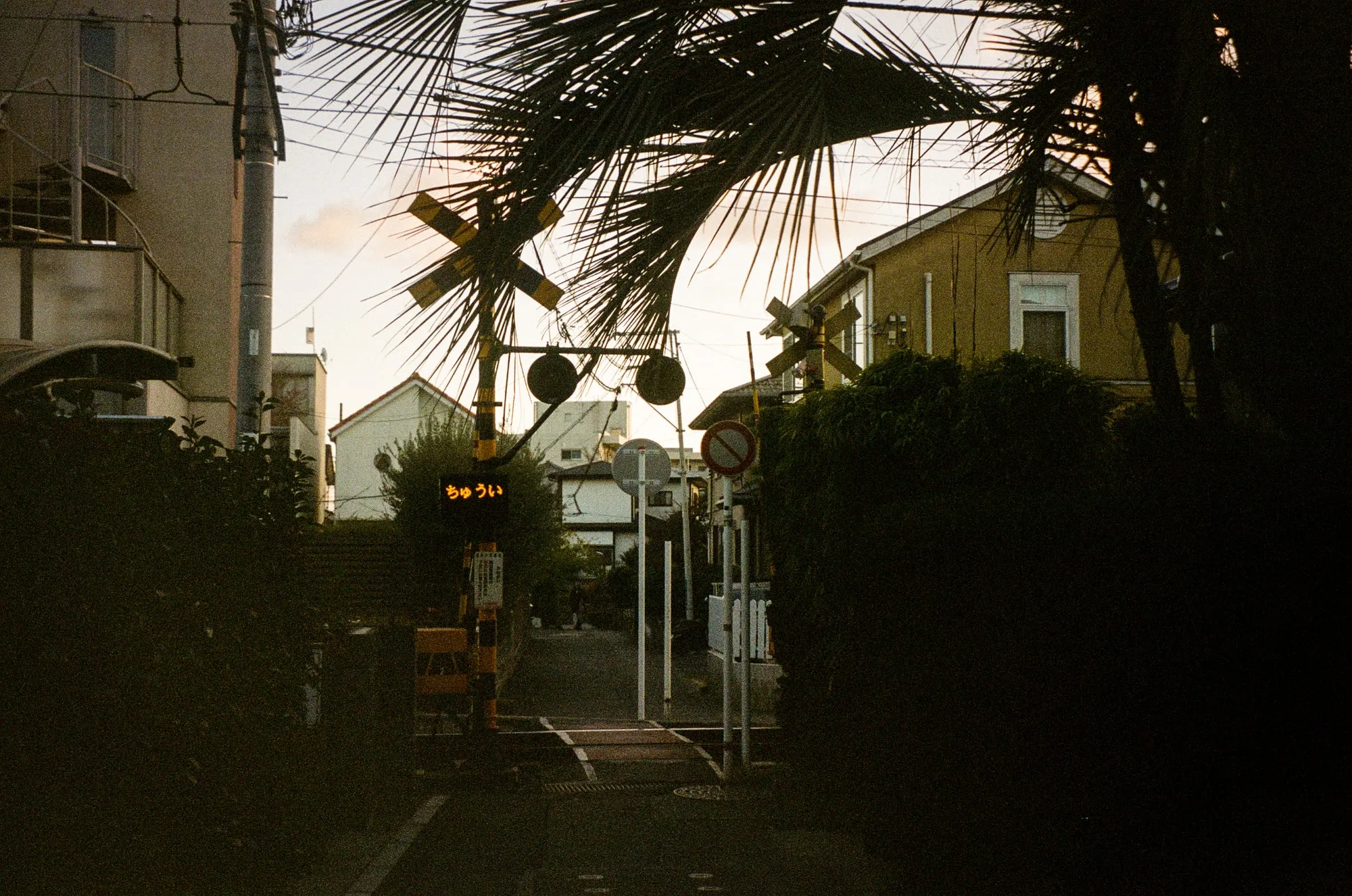 2025, photo 3