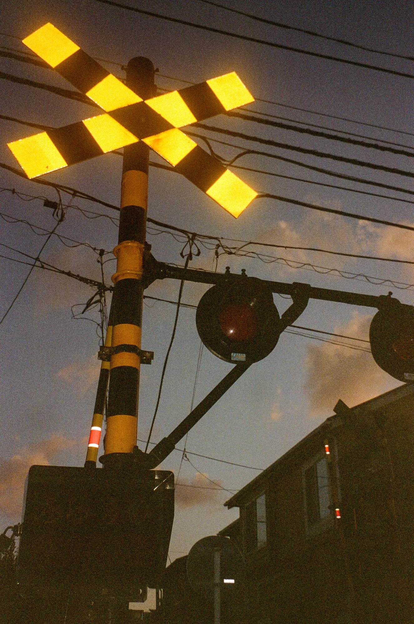 2025, photo 22