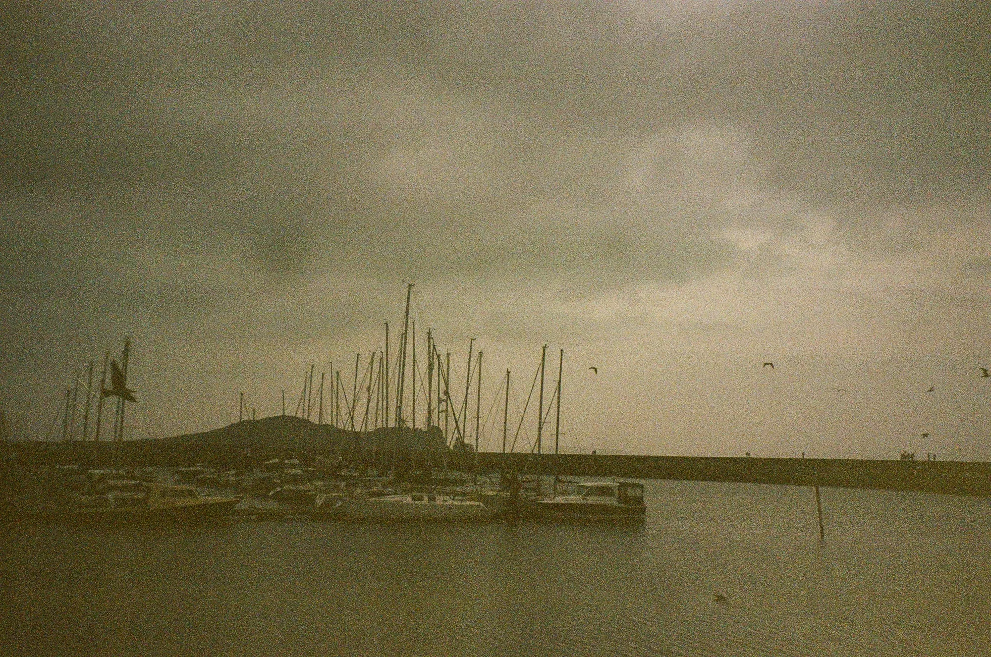 2025, photo 24