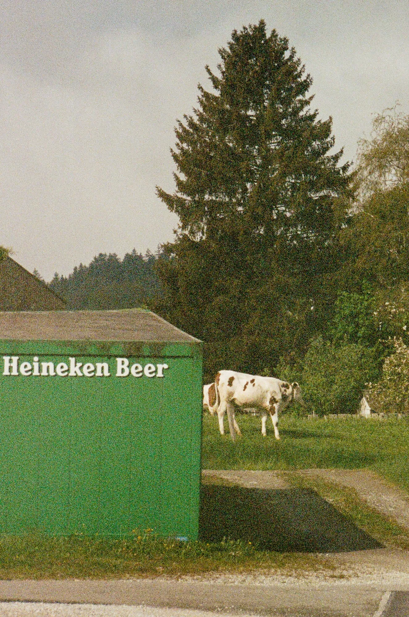 2024, photo 2