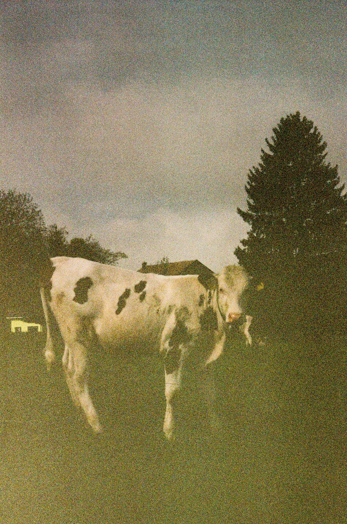 2024, photo 20