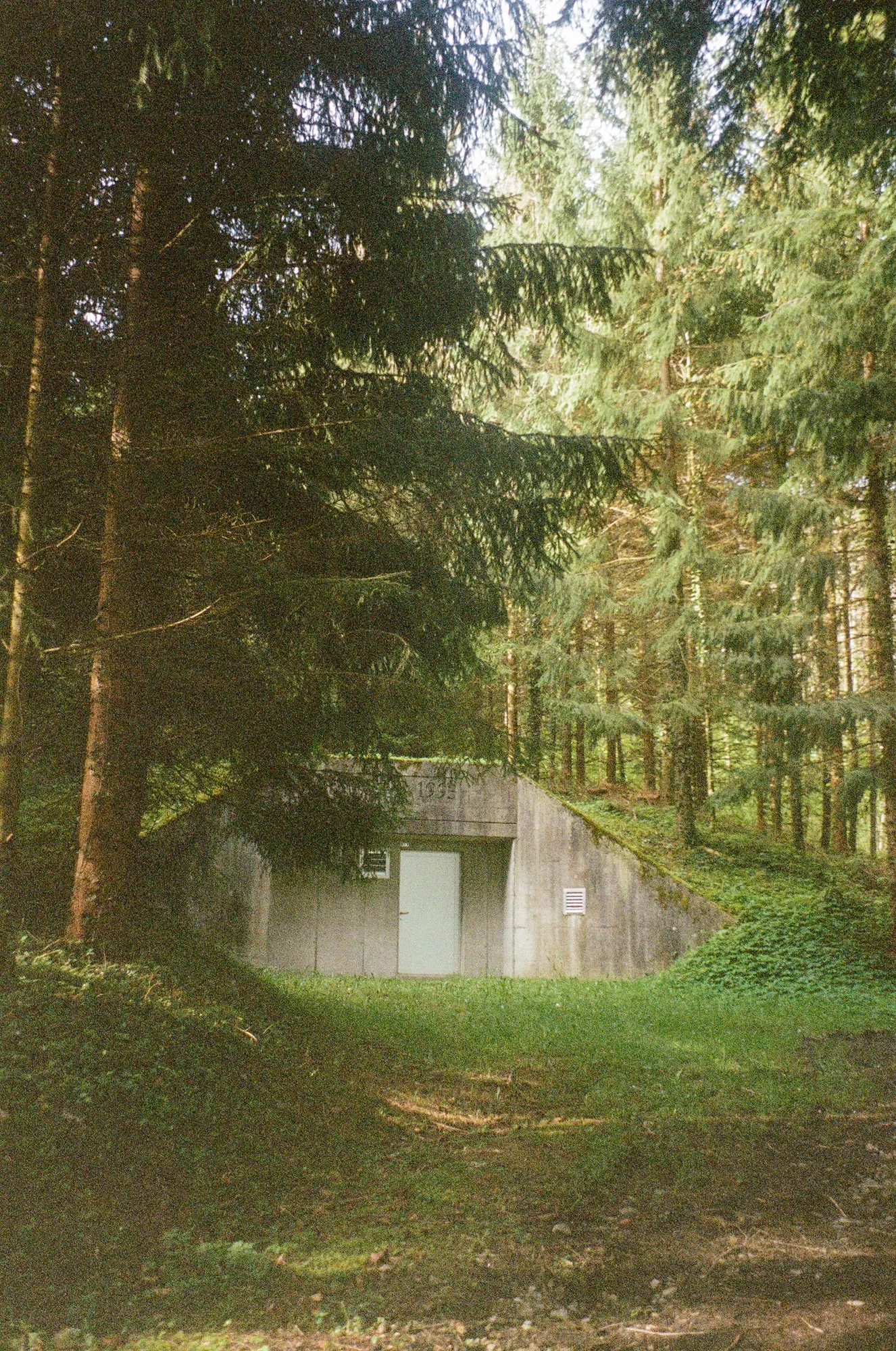 2024, photo 18
