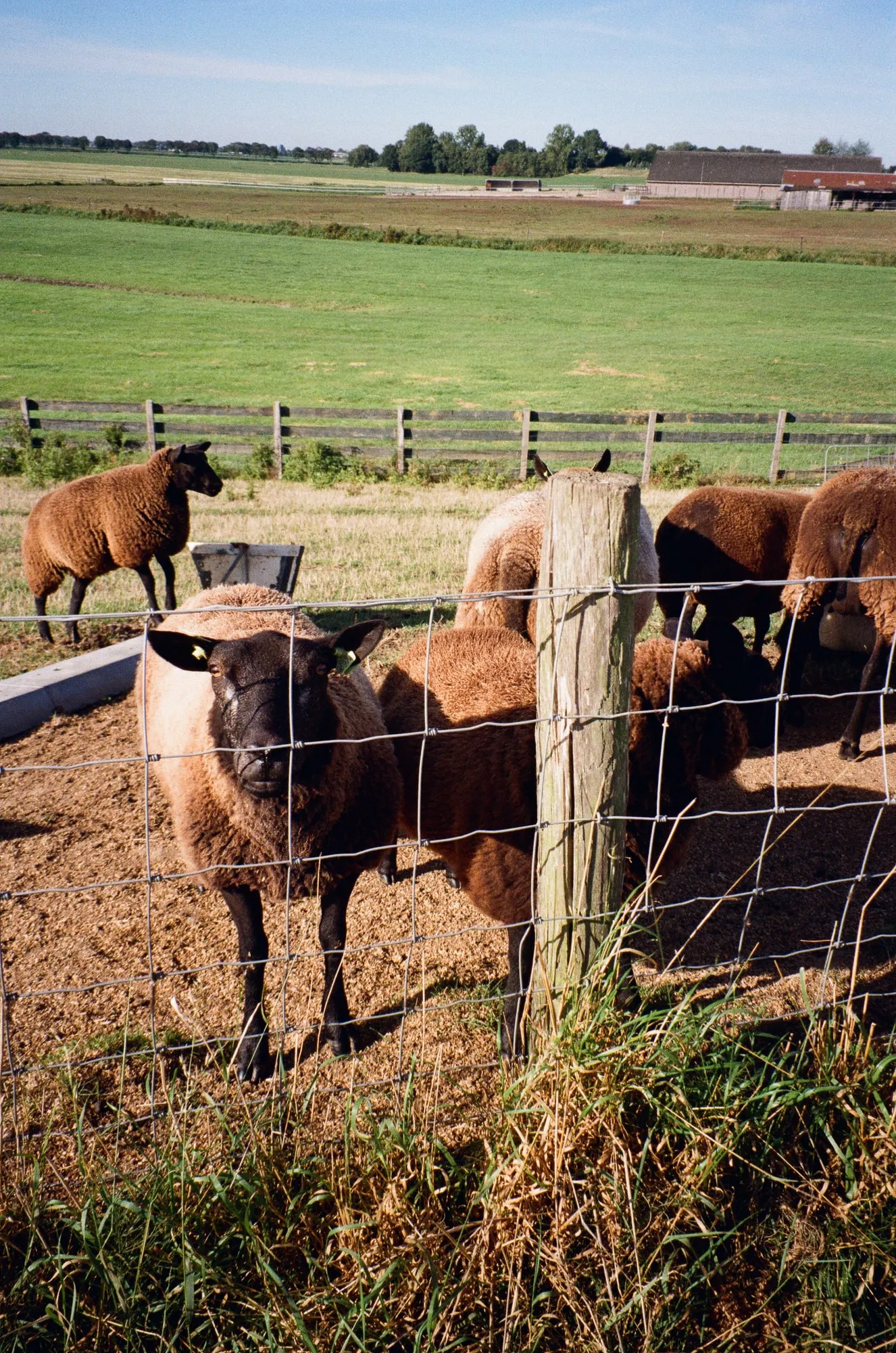 2025, photo 20