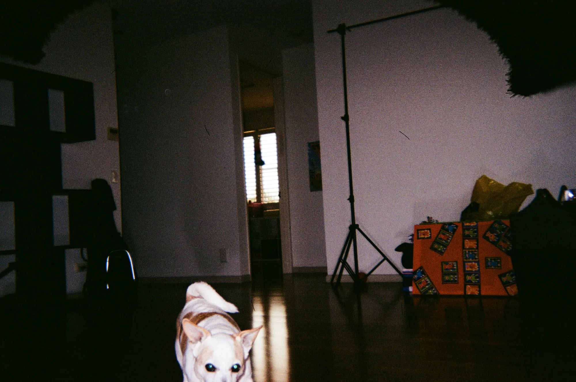 2021, photo 2